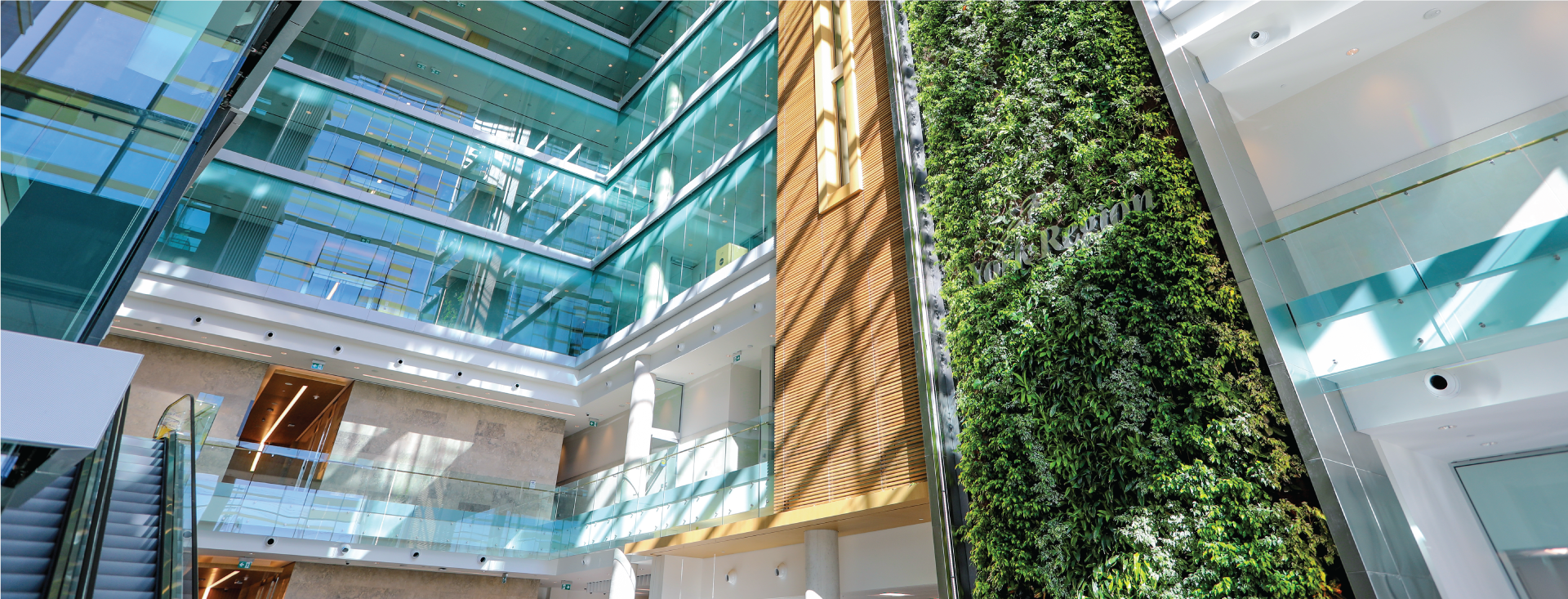 Image of lobby at 17150 Yonge Street featuring the living wall.