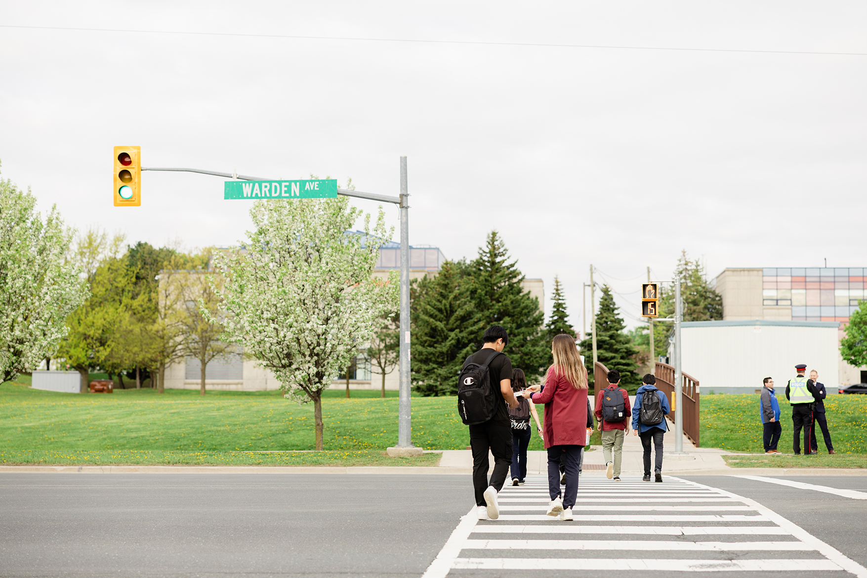 Students crossing the road at a signalized intersection