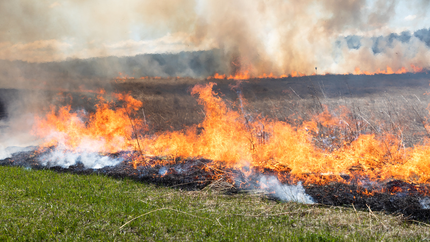 Bendor And Graves After Burn