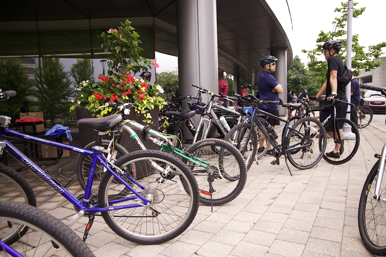 Bikes lined up outside of a business