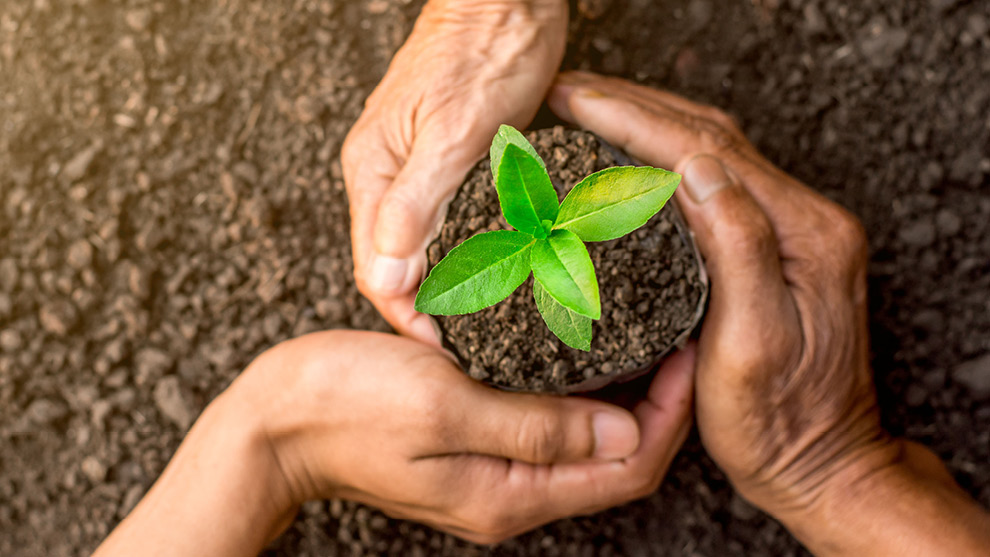 three hands holding the dirt of a plant in a circular shape