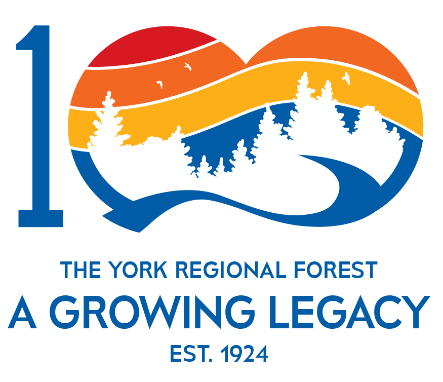 commemorative wordmark