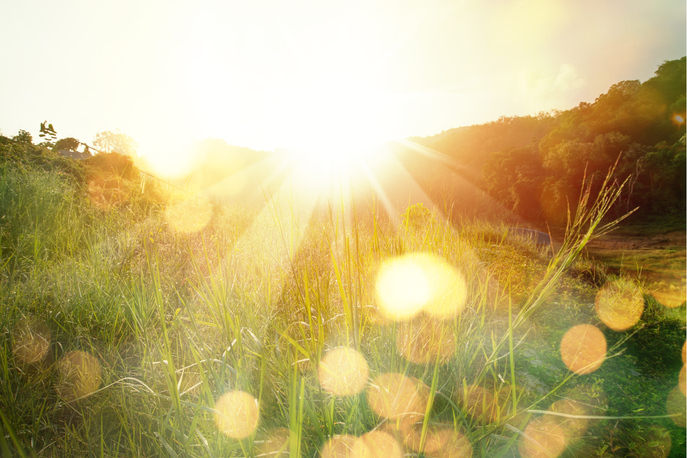 Future Affordable Housing at 62 Bayview