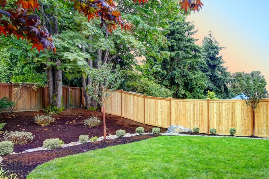 a beautifully landscaped backyard