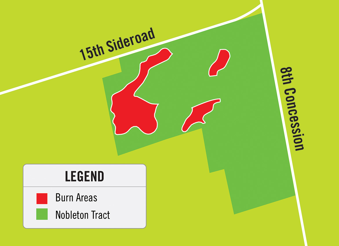 A map showing the burn location in the forest at Nobleton Tract