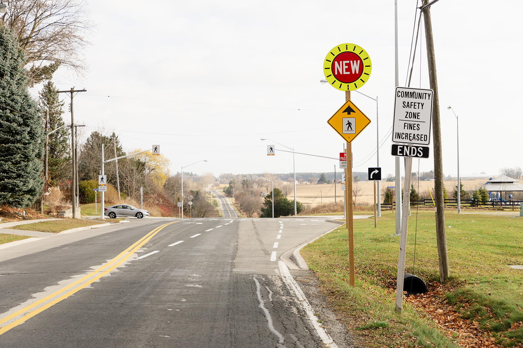 Pedestrian crossover at Mount Albert Road, near Cupples Farm Lane/Royal Oak Road