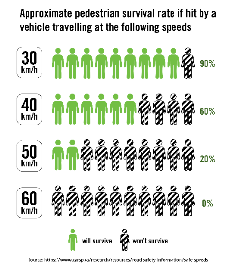 pedestrian survival rate