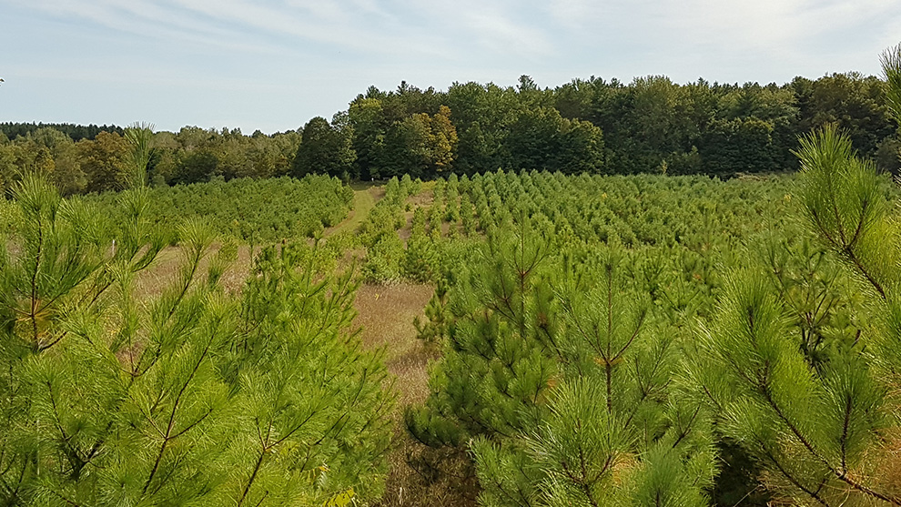 Environmental Land Conservation