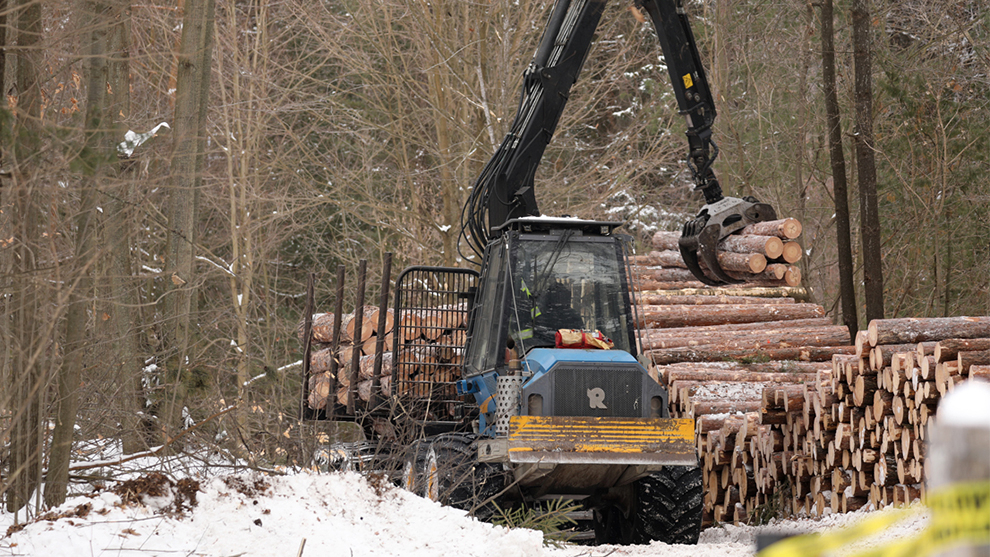 Sustainable Timber Harvest