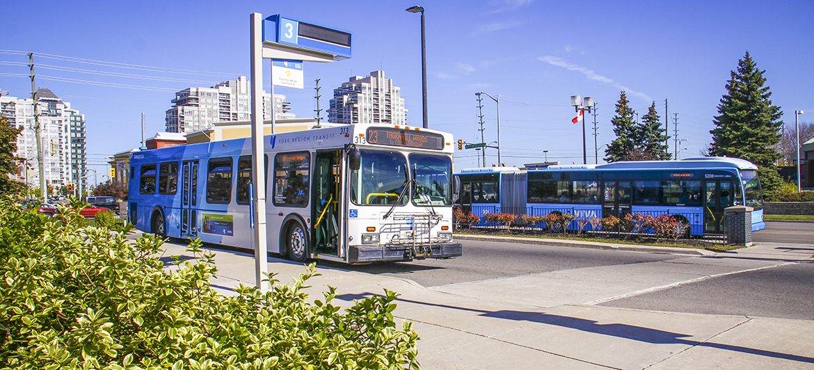 YRT bus and viva bus are parking at the Promenade Terminal
