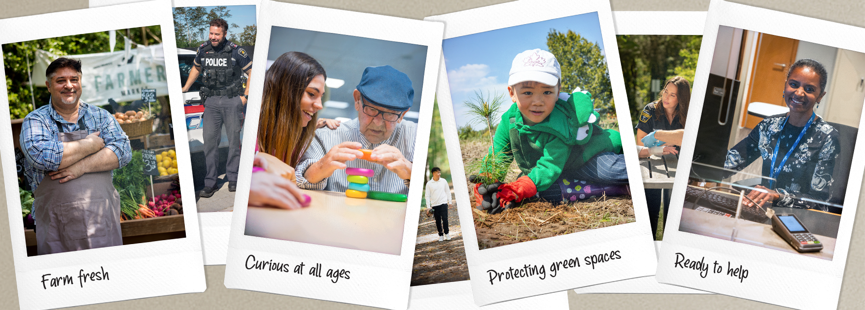 a collection of images representing agriculture, seniors, forestry and customer service