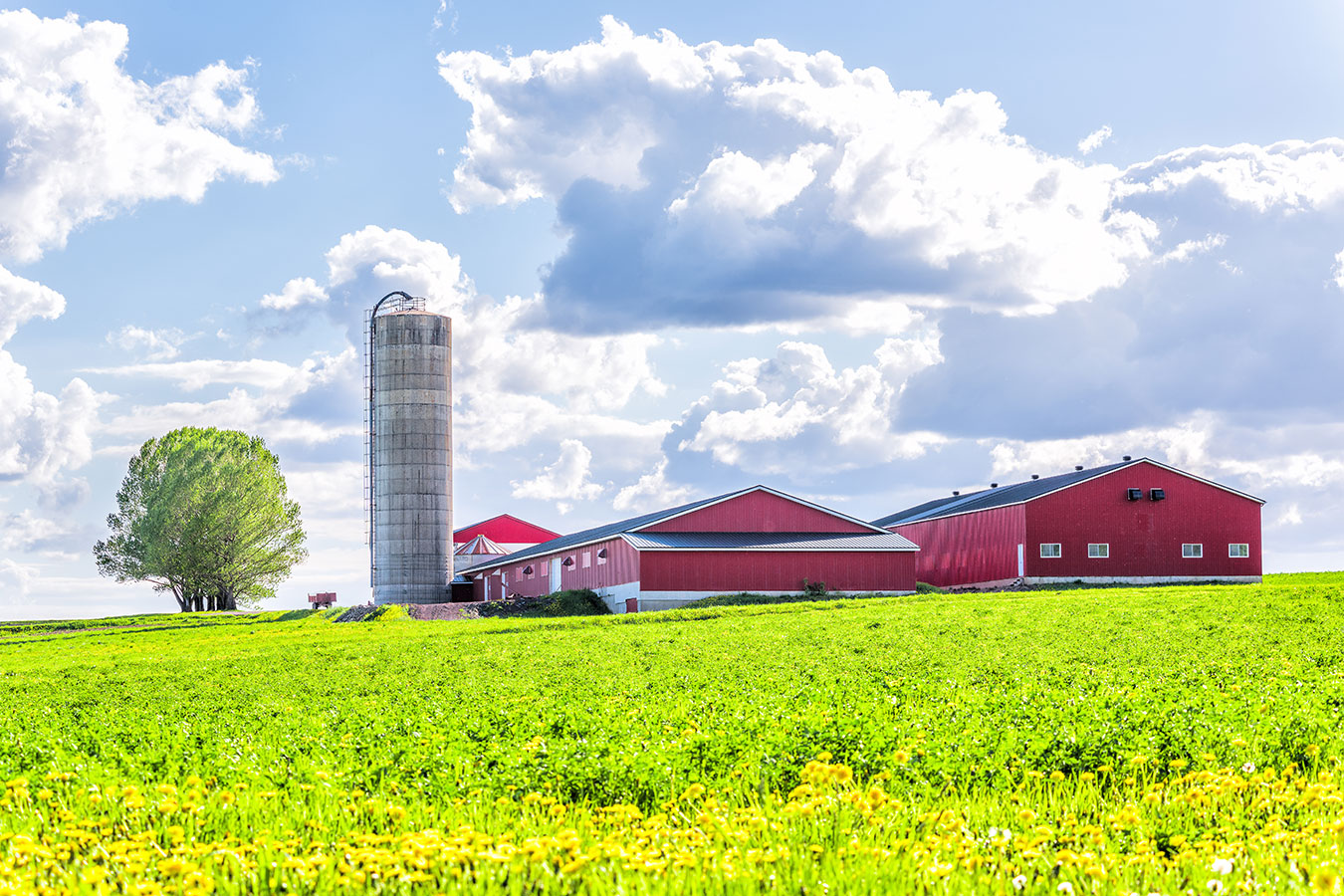 red barn and silver silo surrounded by green fields