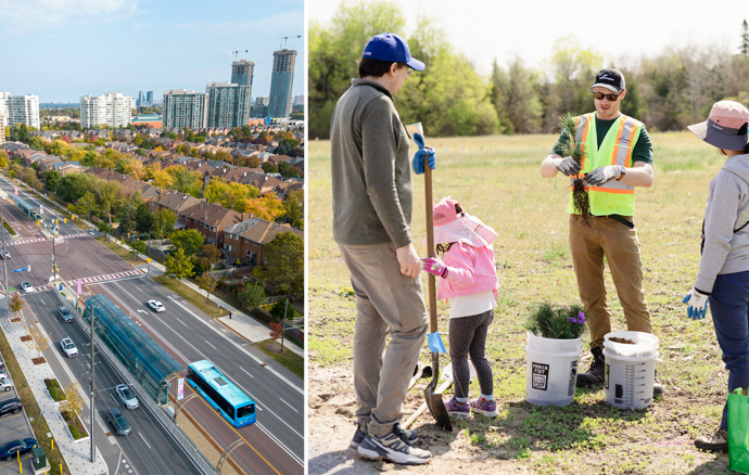 York Region and Tree Planting York Region and Tree Planting