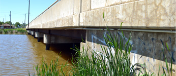 Environmental Site Assessment Information Requests